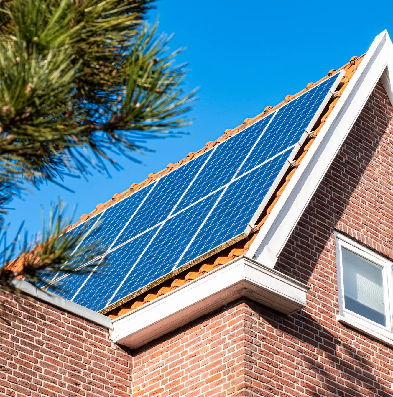 Location Appartement Wallonie